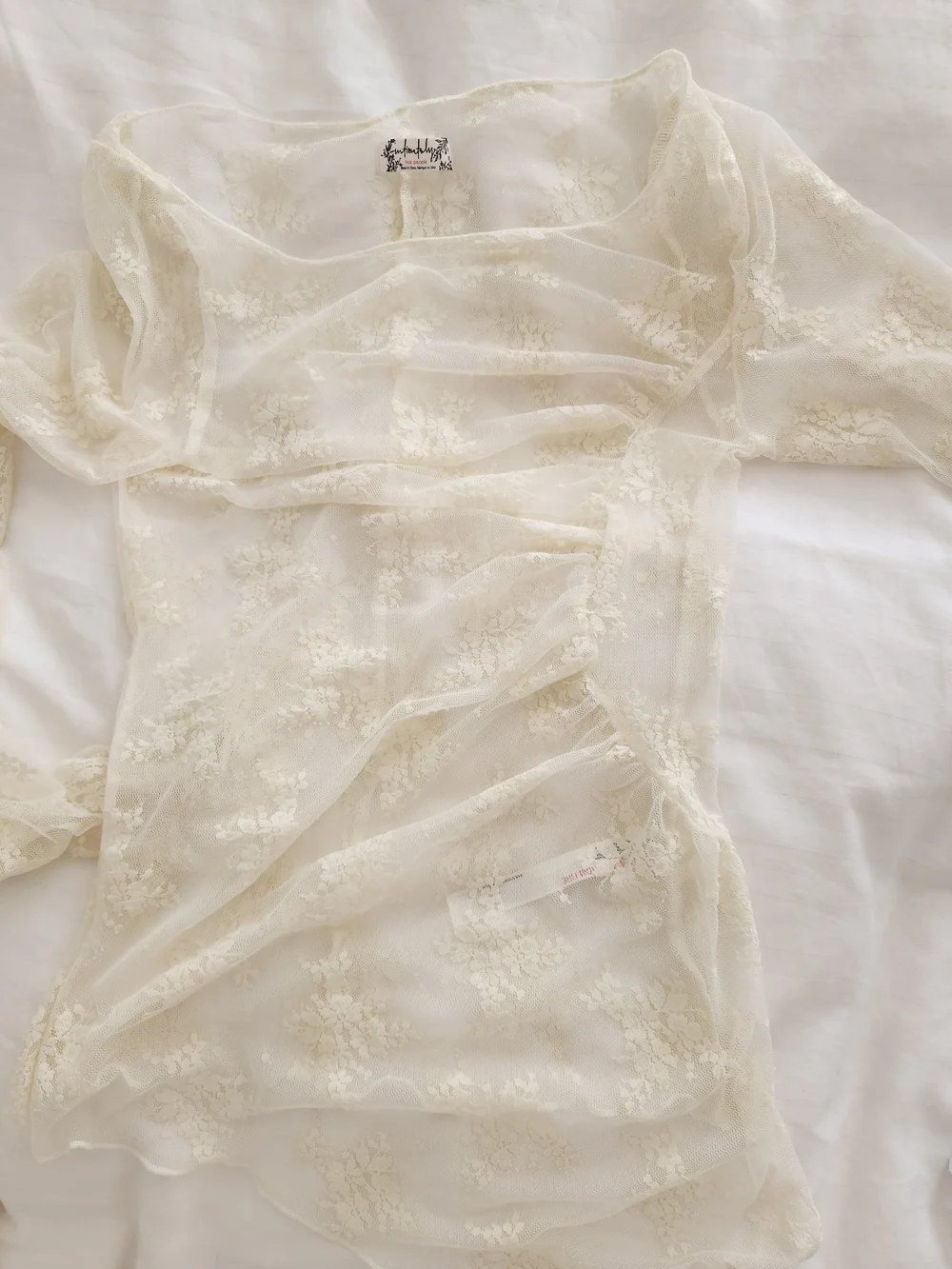 Free People Sheer Lace Long-Sleeve Top in Ivory